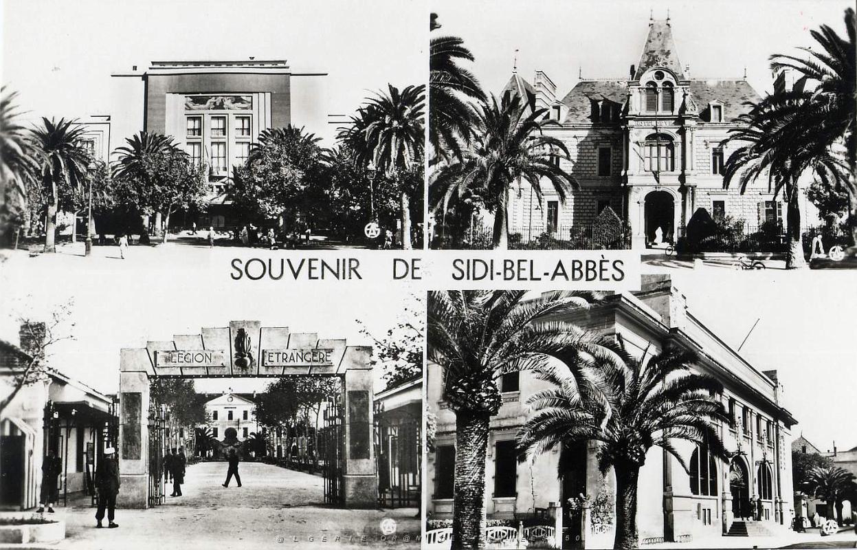 Sidi bel abbes 537- Souvenir COLLECTION DES AMIS DE ND DE SANTA CRUZ.jpg